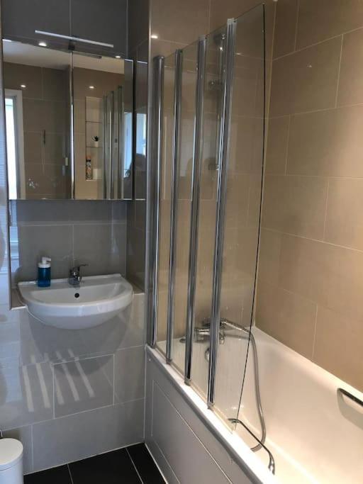 Studio Apartment Opposite Shoreditch Park Лондон Екстер'єр фото
