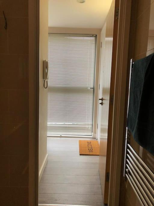 Studio Apartment Opposite Shoreditch Park Лондон Екстер'єр фото